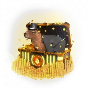 КАПИБАРА КЕЙС