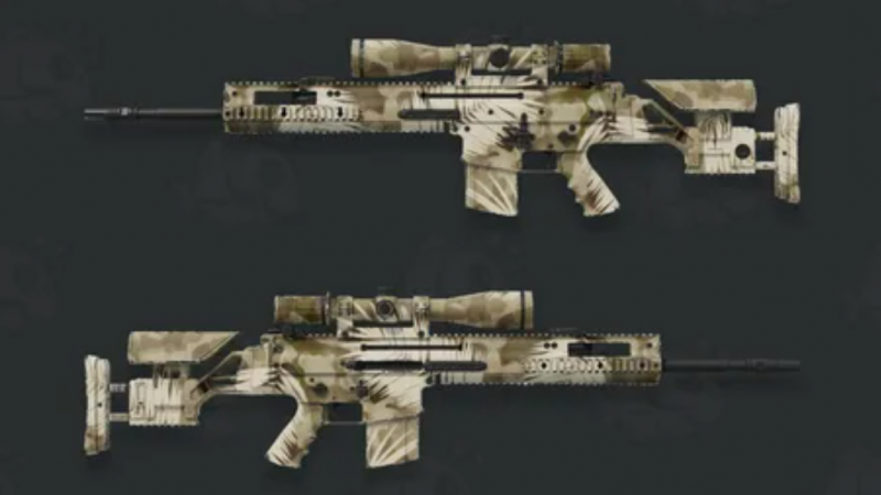 SCAR-20 Palm
